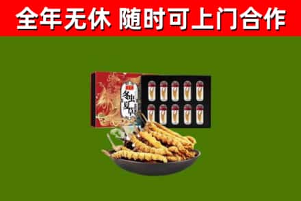 息烽回收冬虫夏草价格